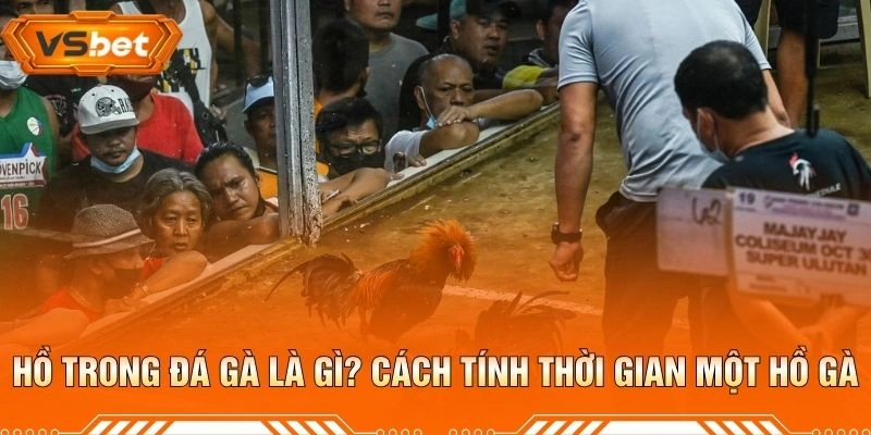 Hồ trong đá gà là gì